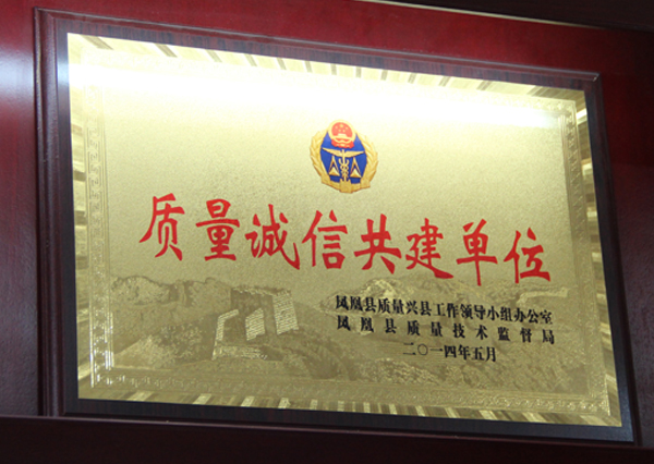 鉆牛角尖集團被鳳凰縣政府評為“質量誠信共建單位”