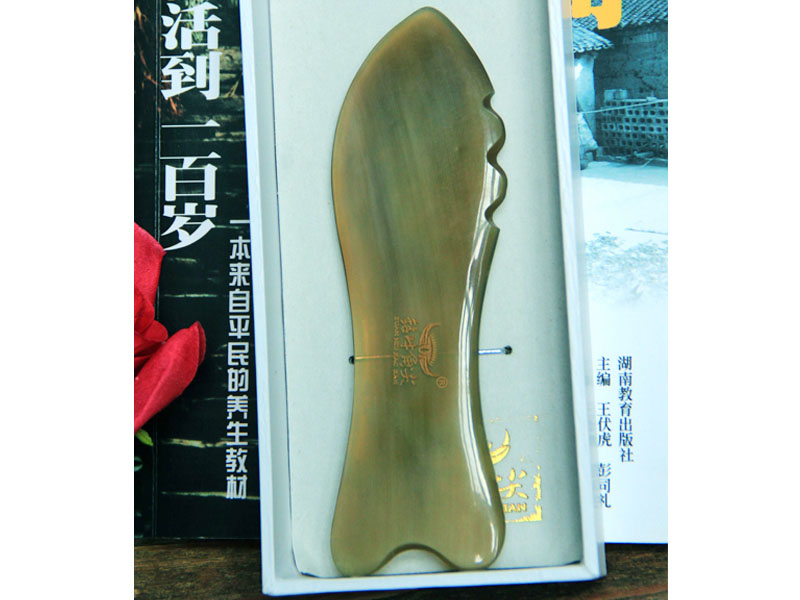 魚(yú)形刮痧板