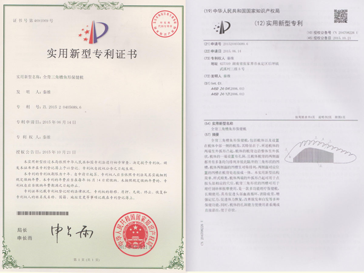 全背三角槽魚形保健梳專利證書