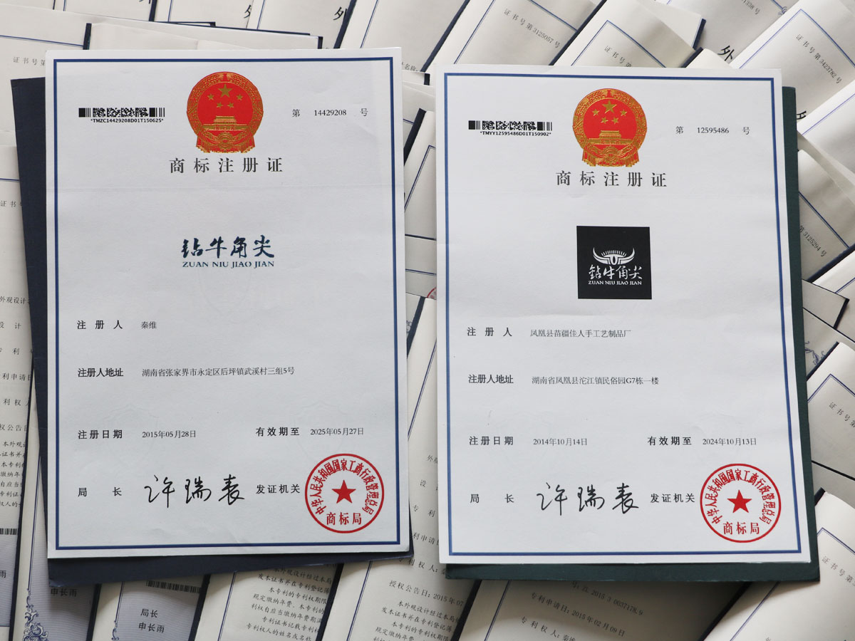 國家專利證書4