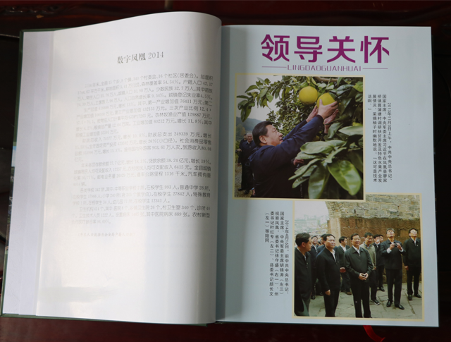 鉆牛角尖集團，張家界牛角梳，鳳凰牛角梳，鉆牛角尖，鉆牛角尖牛角梳，牛角梳